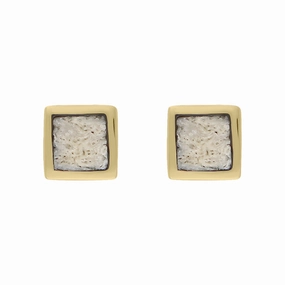 18ct Yellow Gold Coquina Dinky Square Stud Earrings