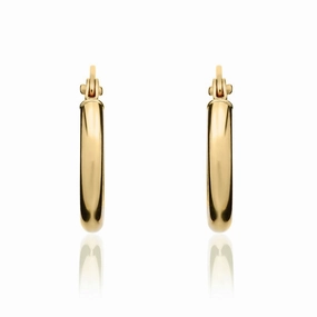 9ct Yellow Gold 13.5mm Hoop Earrings