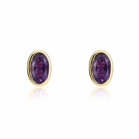 9ct Yellow Gold Amethyst 5x3mm Oval Rub Over Set Stud Earrings
