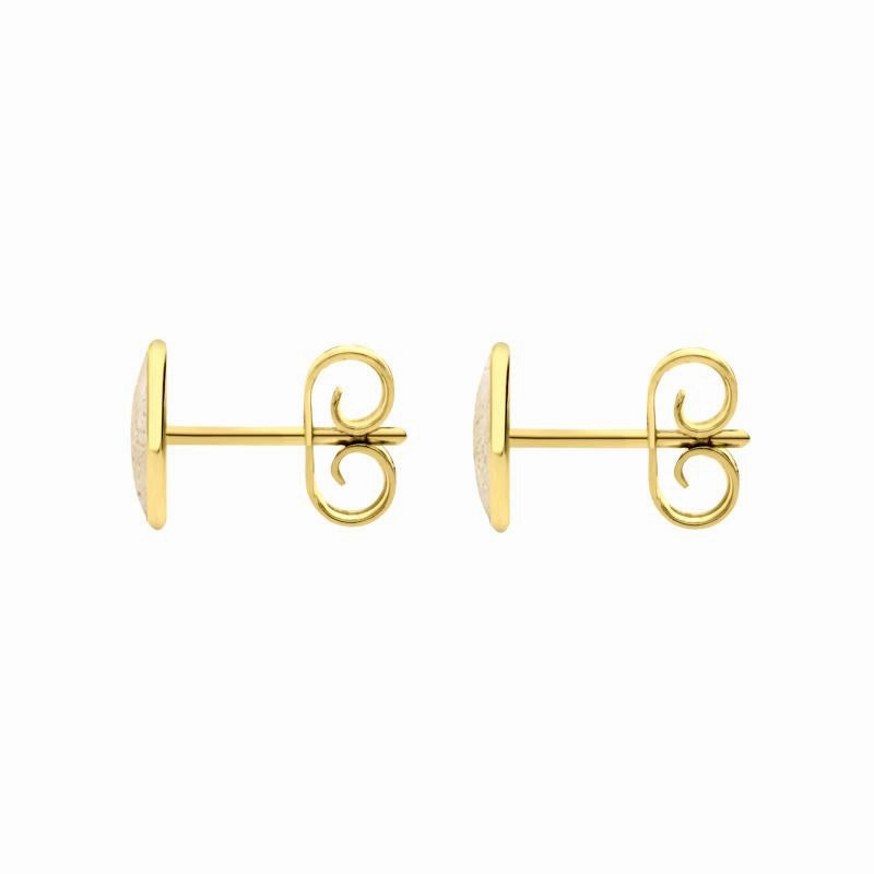 9ct Yellow Gold Coquina 7 x 5mm Classic Small Oval Stud Earrings