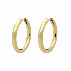 9ct Yellow Gold Hinged Hoop Earrings