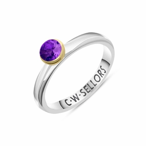 9ct Yellow Gold Sterling Silver Amethyst Stepping Stones 5mm Round Bezel Set Ring