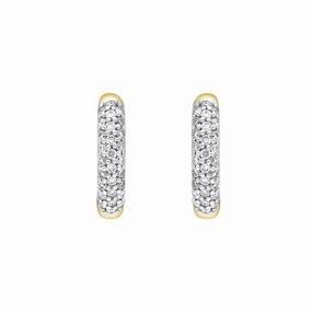 9ct Yellow White Gold Diamond 12mm Round Domed Hoop Earrings