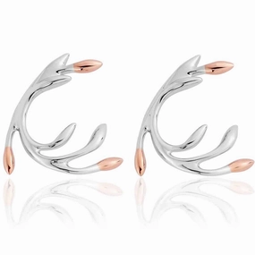 Clogau Tree of Life Eden Silver Stud Earrings