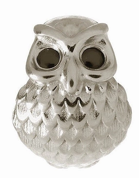 Endless Jewellery Charm Owl Silver