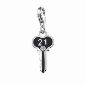 Hot Diamonds Moments Sterling Silver 21 Charm