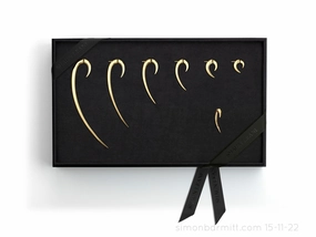 Shaun Leane Iconic Hook 18ct Yellow Gold Plated Sterling Silver Earring Box Set