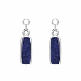 Sterling Silver Sodalite Oblong Drop Earrings